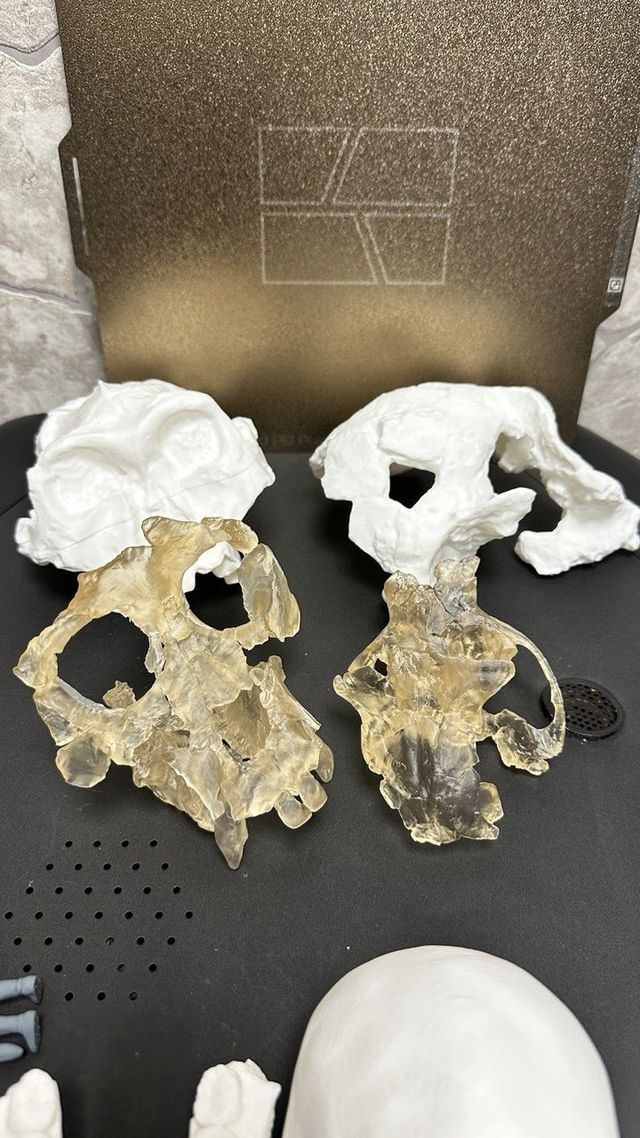 Копии археологических находок для музея — 3D-Fabrica