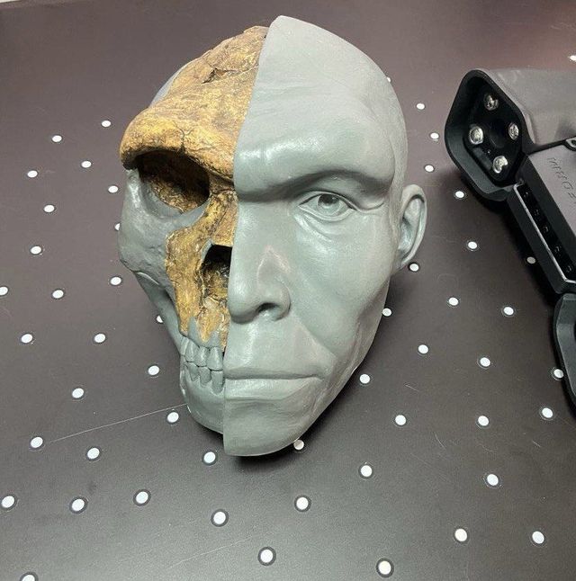 Анатомическая модель — 3D-Fabrica